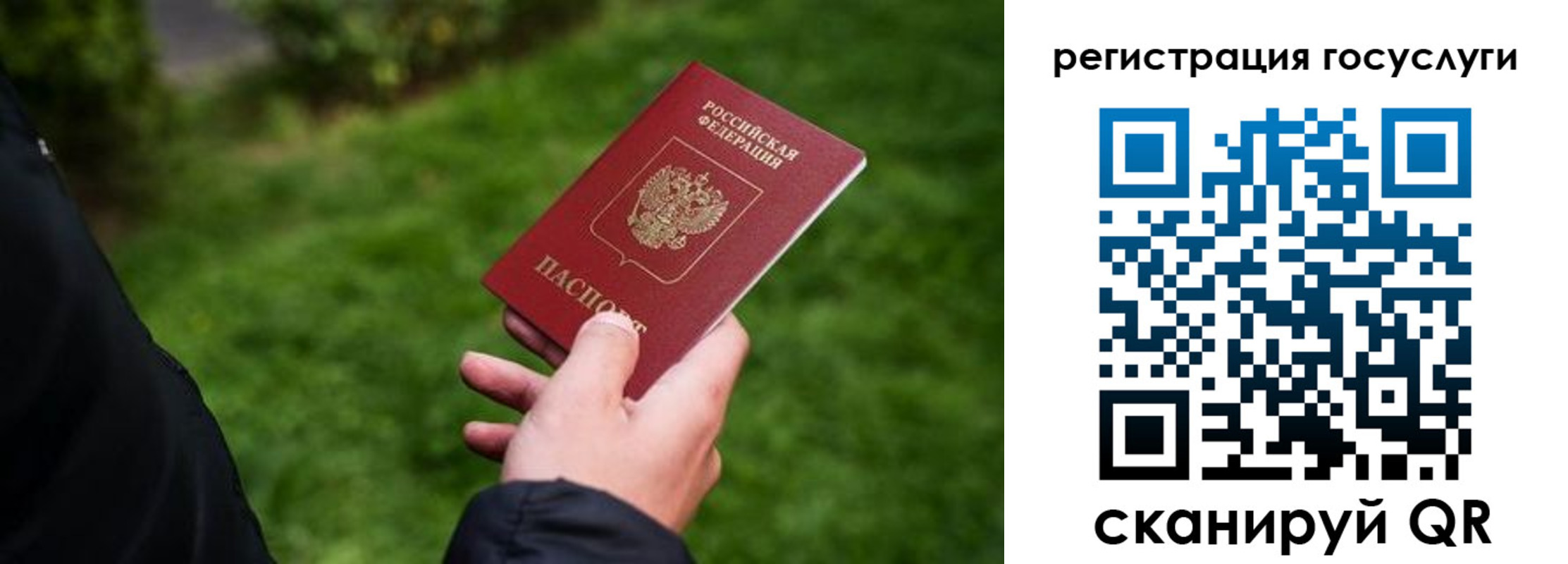 прописка в Бологом